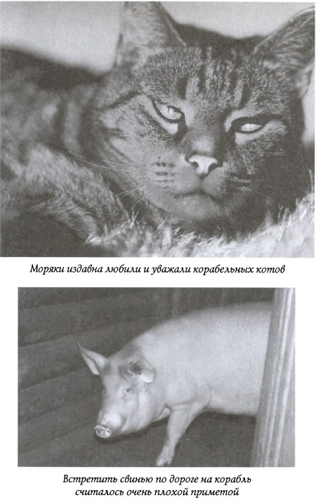 Иллюстрация к книге — Призрак на палубе [img_06.jpg]