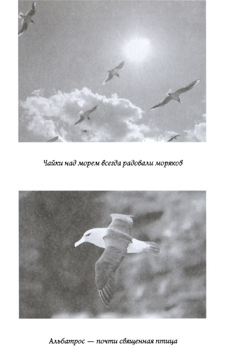 Иллюстрация к книге — Призрак на палубе [img_07.jpg]