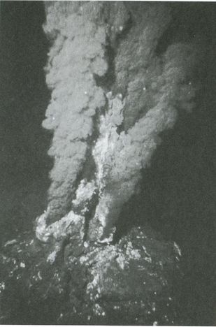 Иллюстрация к книге — Тайны четырех океанов [i_006.jpg]