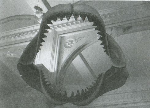 Иллюстрация к книге — Тайны четырех океанов [i_020.jpg]