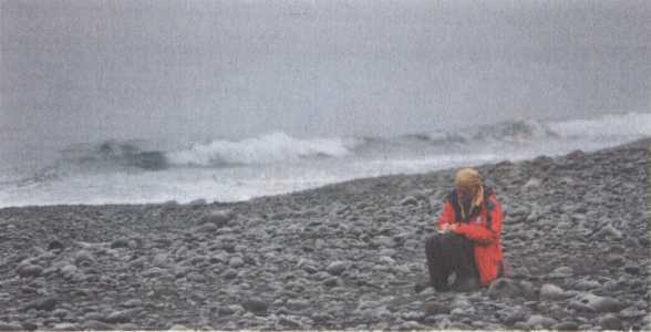 Иллюстрация к книге — Обрученные с Севером. По следам «Двух капитанов» [img_19.jpg]