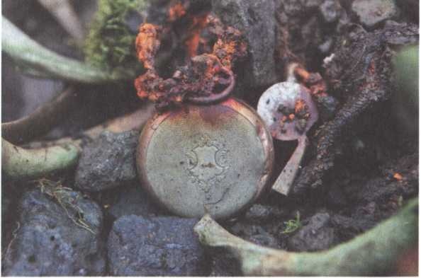 Иллюстрация к книге — Обрученные с Севером. По следам «Двух капитанов» [img_24.jpg]