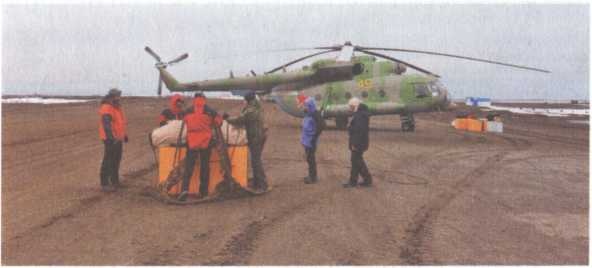 Иллюстрация к книге — Обрученные с Севером. По следам «Двух капитанов» [img_9.jpg]