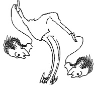 Иллюстрация к книге — Направляющая сила ума [i_037.jpg]