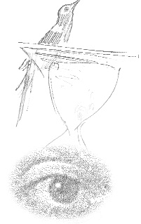 Иллюстрация к книге — Направляющая сила ума [i_047.jpg]