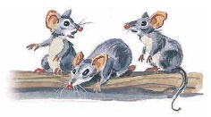 Иллюстрация к книге — Филипок [i_014.jpg]