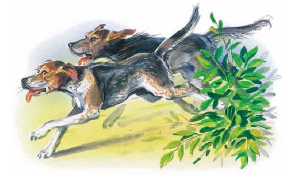 Иллюстрация к книге — Филипок [i_027.jpg]