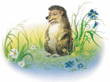 Иллюстрация к книге — Филипок [i_039.jpg]