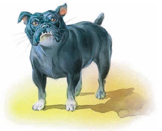 Иллюстрация к книге — Филипок [i_051.jpg]