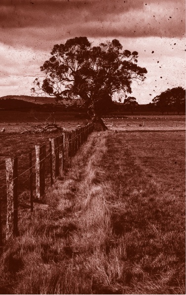 Иллюстрация к книге — Похитители костей [i_003.jpg]