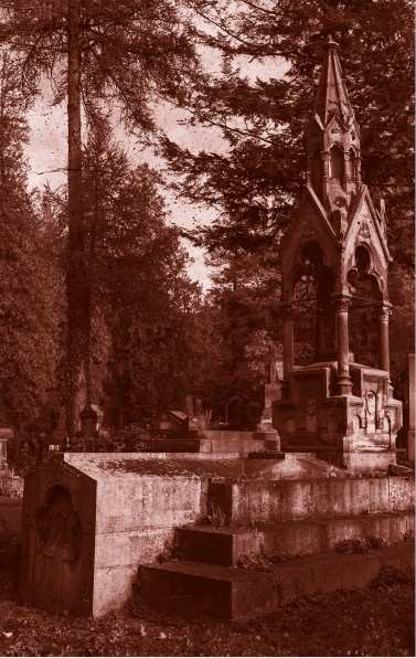 Иллюстрация к книге — Похитители костей [i_011.jpg]