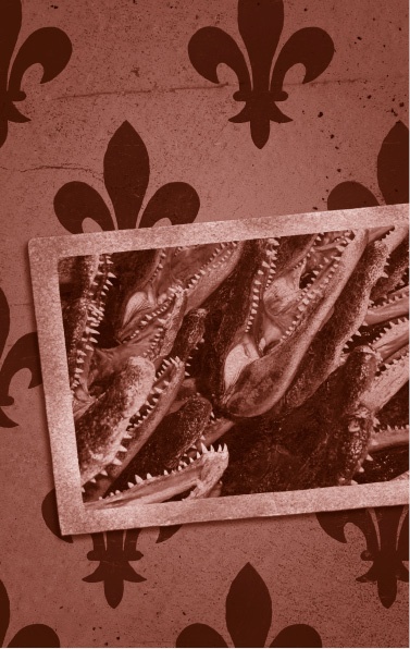 Иллюстрация к книге — Похитители костей [i_022.jpg]