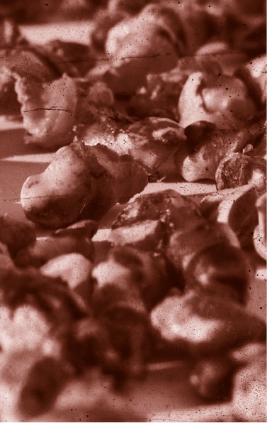 Иллюстрация к книге — Похитители костей [i_037.jpg]