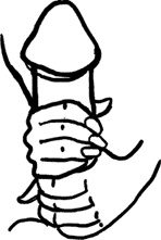 Иллюстрация к книге — #Секреты Королевы. Настольная книга искусной любовницы [i_061.jpg]