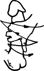 Иллюстрация к книге — #Секреты Королевы. Настольная книга искусной любовницы [i_063.jpg]