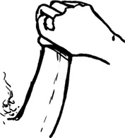 Иллюстрация к книге — #Секреты Королевы. Настольная книга искусной любовницы [i_064.jpg]