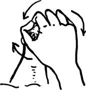 Иллюстрация к книге — #Секреты Королевы. Настольная книга искусной любовницы [i_065.jpg]