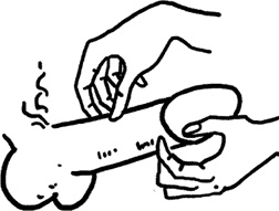 Иллюстрация к книге — #Секреты Королевы. Настольная книга искусной любовницы [i_067.jpg]