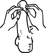 Иллюстрация к книге — #Секреты Королевы. Настольная книга искусной любовницы [i_069.jpg]