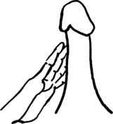 Иллюстрация к книге — #Секреты Королевы. Настольная книга искусной любовницы [i_070.jpg]