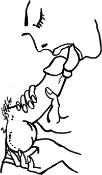 Иллюстрация к книге — #Секреты Королевы. Настольная книга искусной любовницы [i_088.jpg]