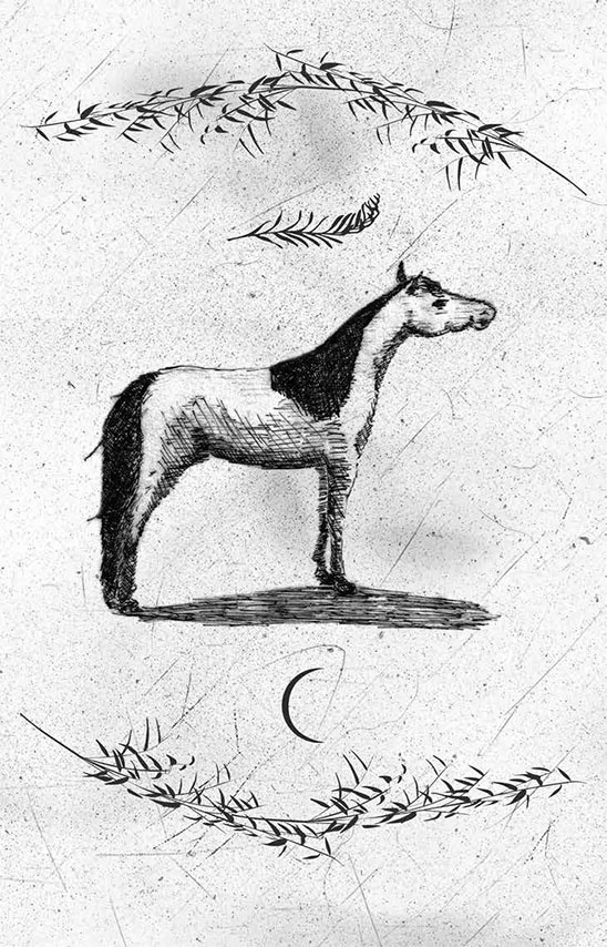 Иллюстрация к книге — Книга домыслов [i_009.jpg]