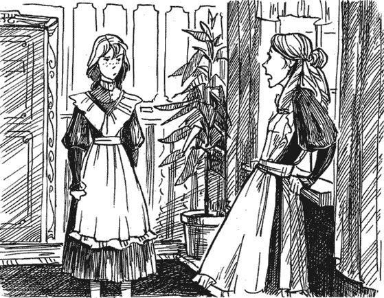 Иллюстрация к книге — Молли Блэкуотер. Сталь, пар и магия [i_008.jpg]