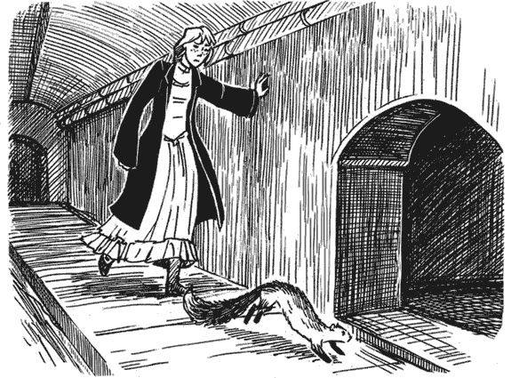 Иллюстрация к книге — Молли Блэкуотер. Сталь, пар и магия [i_025.jpg]