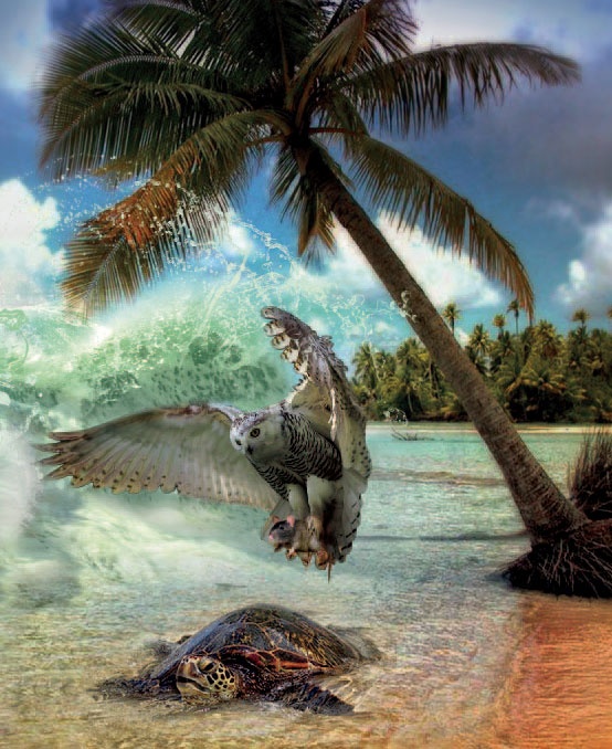 Иллюстрация к книге — Сказки Дальних стран [_12.jpg]