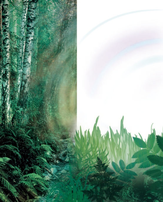 Иллюстрация к книге — Сказки Дальних стран [_2.jpg]