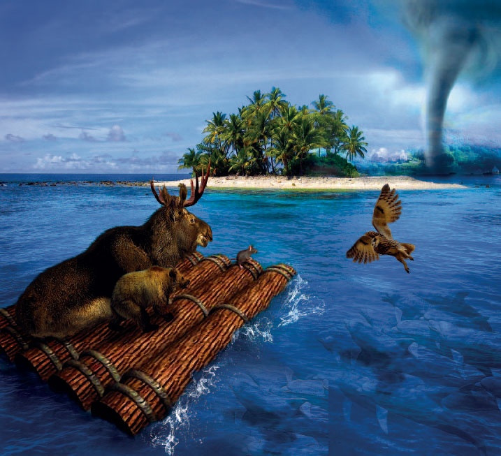 Иллюстрация к книге — Сказки Дальних стран [_7.jpg]