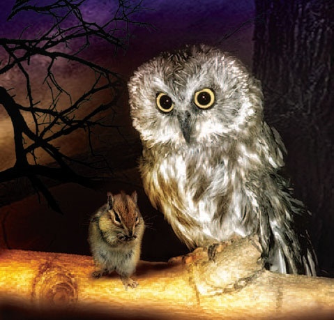 Иллюстрация к книге — Сказки Дальнего леса [_10.jpg]