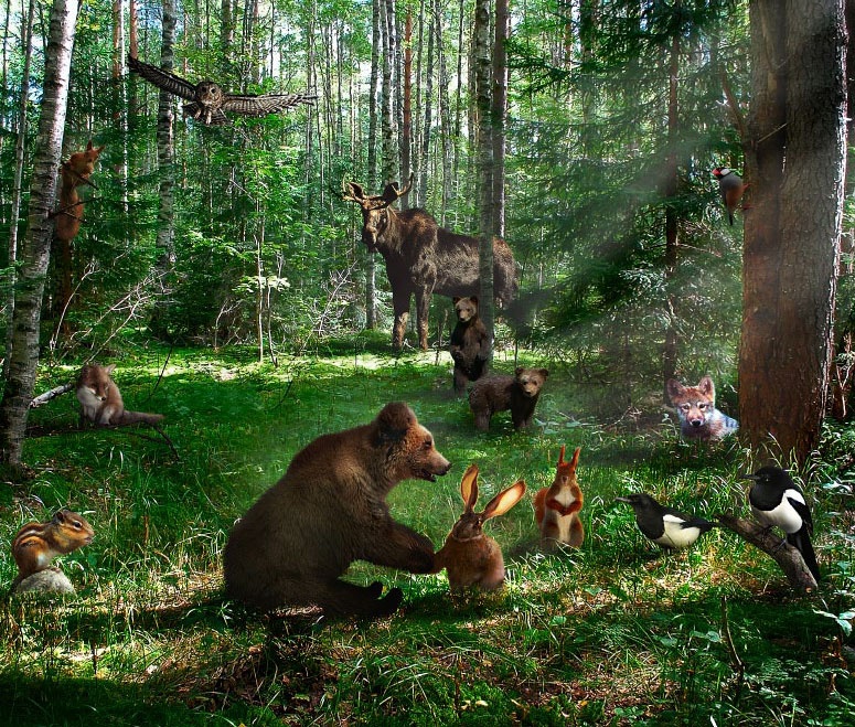 Иллюстрация к книге — Сказки Дальнего леса [_2.jpg]