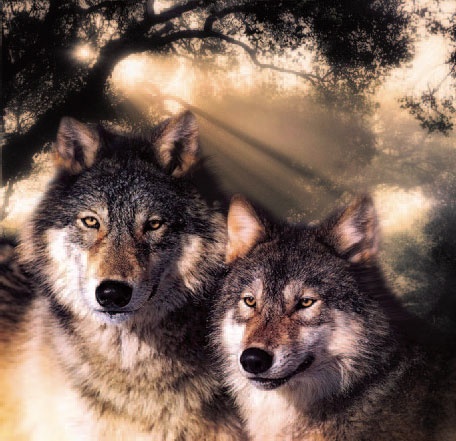 Иллюстрация к книге — Сказки Дальнего леса [_3.jpg]