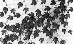 Иллюстрация к книге — Методология мышления. Черновик [i_013.jpg]