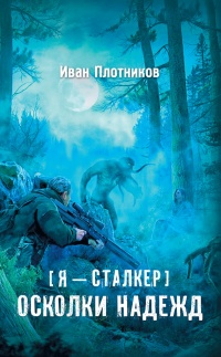 Книга Осколки надежд