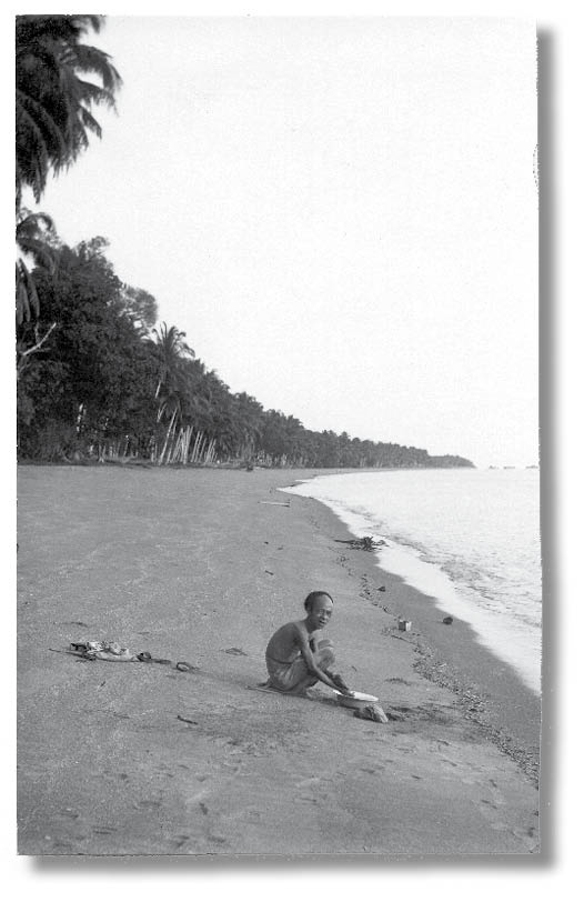 Иллюстрация к книге — Библиотека душ. Нет выхода из дома странных детей [i_039.jpg]