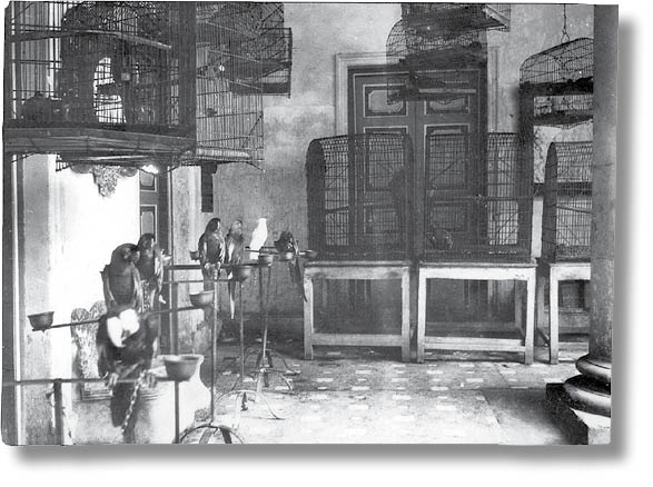 Иллюстрация к книге — Библиотека душ. Нет выхода из дома странных детей [i_055.jpg]