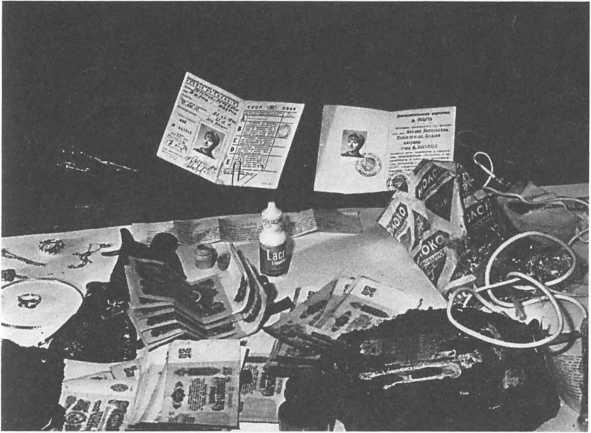 Иллюстрация к книге — Агентурная кличка - Трианон [image22.jpg]