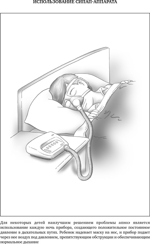 Иллюстрация к книге — Сон ребенка. Решение всех проблем [i_023.jpg]