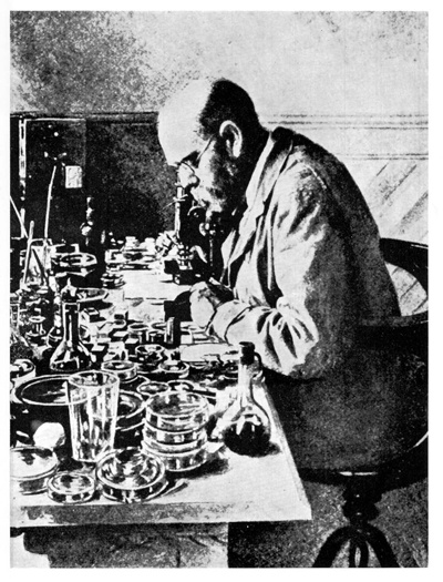 Иллюстрация к книге — Империя хирургов [_26.jpg]