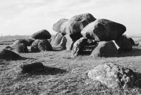 Иллюстрация к книге — Опрокинутый мир. Тайны прошлого – загадки грядущего. Что скрывают архивы Спецотдела НКВД, Аненербе и Верховного командования Вермахта [i_104.jpg]