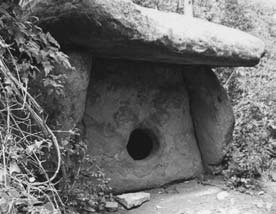 Иллюстрация к книге — Опрокинутый мир. Тайны прошлого – загадки грядущего. Что скрывают архивы Спецотдела НКВД, Аненербе и Верховного командования Вермахта [i_105.jpg]