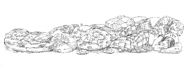 Иллюстрация к книге — Котёнок Амелия, или Колокольчик-невидимка [i_050.jpg]