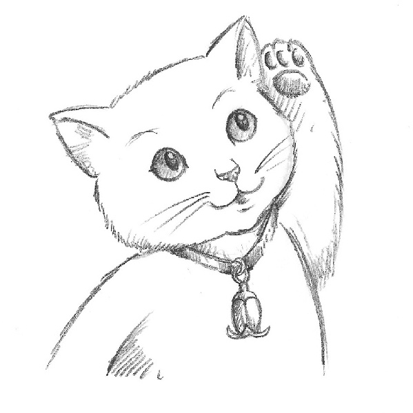 Иллюстрация к книге — Котёнок Амелия, или Колокольчик-невидимка [i_057.jpg]