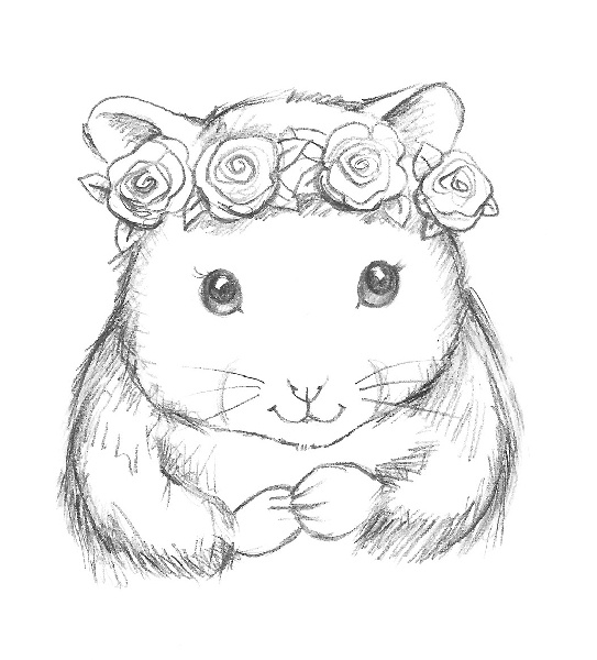 Иллюстрация к книге — Хомячок Оливия, или Рецепт волшебства [i_009.jpg]