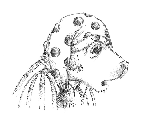 Иллюстрация к книге — Хомячок Оливия, или Рецепт волшебства [i_019.jpg]