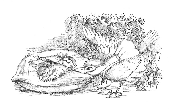 Иллюстрация к книге — Хомячок Оливия, или Рецепт волшебства [i_023.jpg]