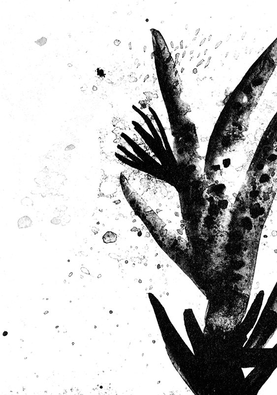 Иллюстрация к книге — Леопард за стеклом [i_041.jpg]