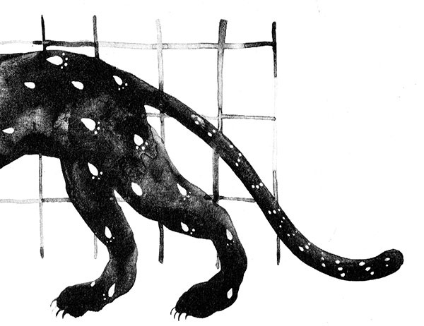 Иллюстрация к книге — Леопард за стеклом [i_056.jpg]